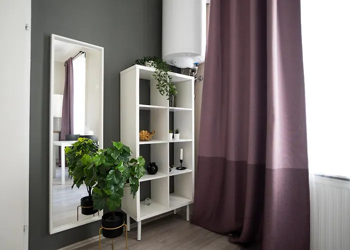Bright ,cozy , And Cute In